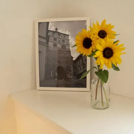 Apartment Old Town Rottweil